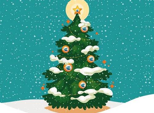 frohe weihnachten wünscht der DMYV