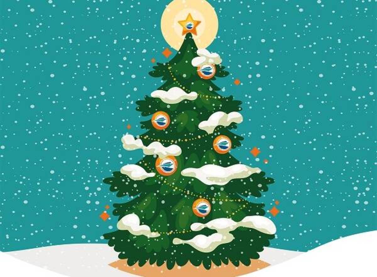 frohe weihnachten wünscht der DMYV